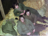1975-boah-merang-galerie-hulshof-17