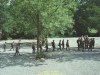 1982-angriff-auf-bonnland-jagerbataillon-512-in-hammelburg-lehmann-48