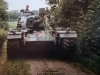 1986-bold-guard-spaniel-57