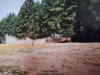 1986-bold-guard-spaniel-68
