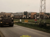 1988-free-lion-golte-18