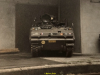 1988-free-lion-golte-19