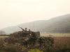 1988-free-lion-golte-24