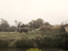 1988-free-lion-golte-26