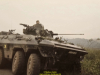 1988-free-lion-golte-30