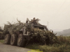 1988-free-lion-golte-31
