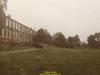 1988-free-lion-golte-33