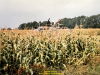 1989-offenes-visir-kc3b6nig-04