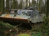 2002-hessischer-lc3b6we-fliege-001