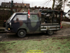 2002-hessischer-lc3b6we-fliege-004