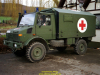 2002-hessischer-lc3b6we-fliege-005