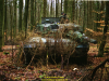 2002-hessischer-lc3b6we-fliege-010