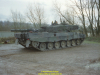 2002-hessischer-lc3b6we-fliege-019
