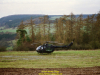 2002-hessischer-lc3b6we-fliege-022