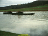 2002-hessischer-lc3b6we-fliege-028
