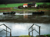 2002-hessischer-lc3b6we-fliege-029