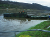 2002-hessischer-lc3b6we-fliege-031