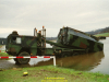 2002-hessischer-lc3b6we-fliege-038