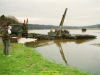 2002-hessischer-lc3b6we-fliege-041