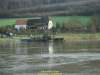 2002-hessischer-lc3b6we-fliege-042