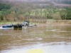 2002-hessischer-lc3b6we-fliege-048