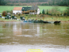 2002-hessischer-lc3b6we-fliege-050