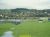 2002-hessischer-lc3b6we-fliege-062