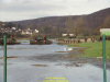 2002-hessischer-lc3b6we-fliege-064