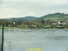 2002-hessischer-lc3b6we-fliege-065