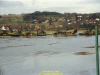 2002-hessischer-lc3b6we-fliege-074