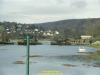 2002-hessischer-lc3b6we-fliege-075