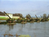 2002-hessischer-lc3b6we-fliege-077