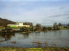 2002-hessischer-lc3b6we-fliege-078