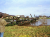 2002-hessischer-lc3b6we-fliege-082