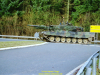 2002-hessischer-lc3b6we-fliege-099