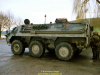 2002-hessischer-lc3b6we-fliege-109