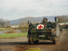 2002-hessischer-lc3b6we-fliege-117