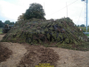 2008-united-shield-de-vries-034