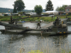2008-united-shield-grave-de-vries-12