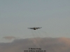 2011-colibri-haag-12