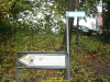 2011-lions-final-effort-de-vries-12