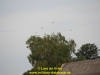 124-2013-fly-out-lynx-de-vries