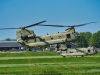2025-falcon-spring-uffmann-23
