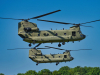 2025-falcon-spring-uffmann-24