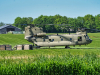 2025-falcon-spring-uffmann-29