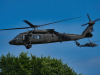 2025-falcon-spring-uffmann-53