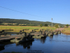 2025-grand-crossing-wehbergen-wiegmann-014