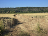 2025-grand-crossings-hameln-de-vries-090