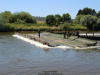 2025-grand-crossings-hameln-de-vries-151