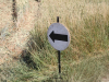2025-grand-crossings-hameln-de-vries-175